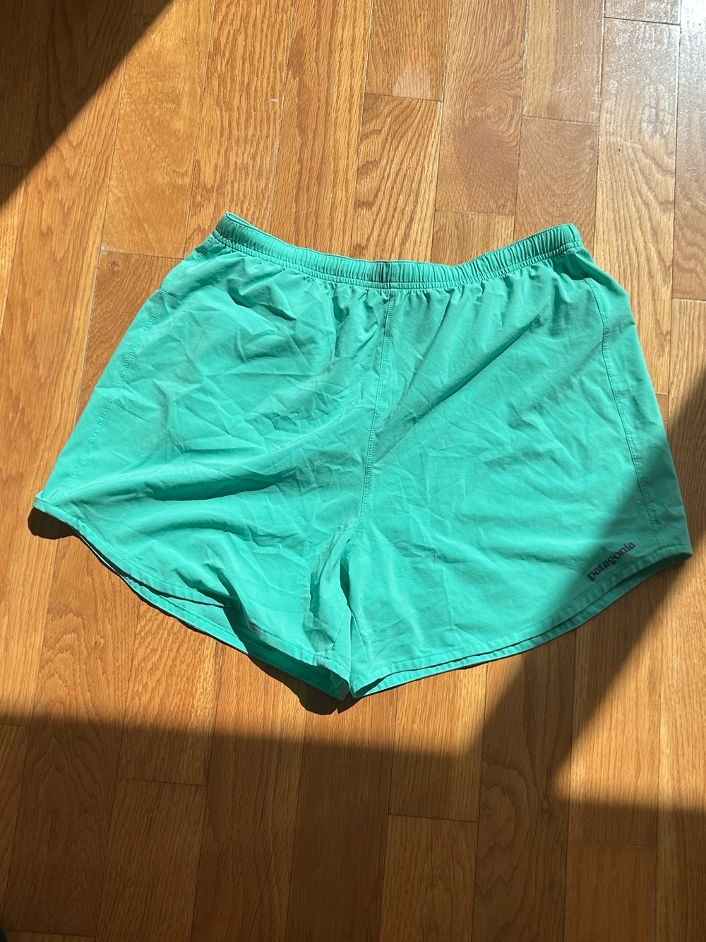 Patagonia Women's Aqua Green Athletic Shorts
